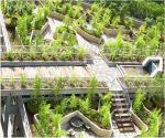 Green roof in Sandton (source: Insite Group)