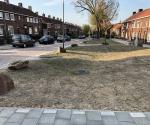 Climate adaptation - rainwater nuissance - Ahornstraat (2019)