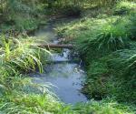 Watercourse to be protected