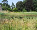 Pitreavie Castle Pond