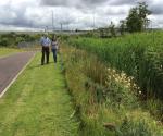 Clyde Gateway East Business Park Linear Wetland
